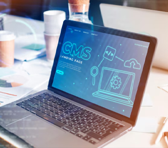 CMS Development